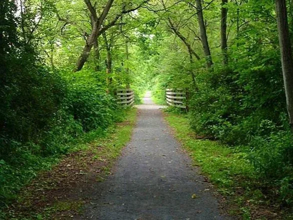 Catharine Valley Trail