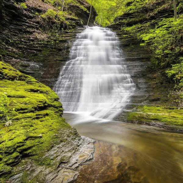 Excelsior Glen