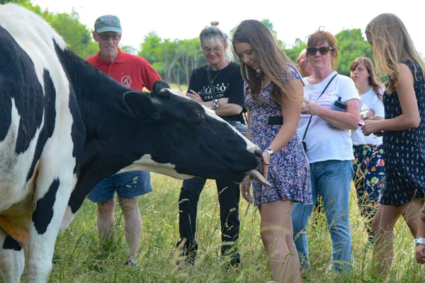 Farm Sanctuary